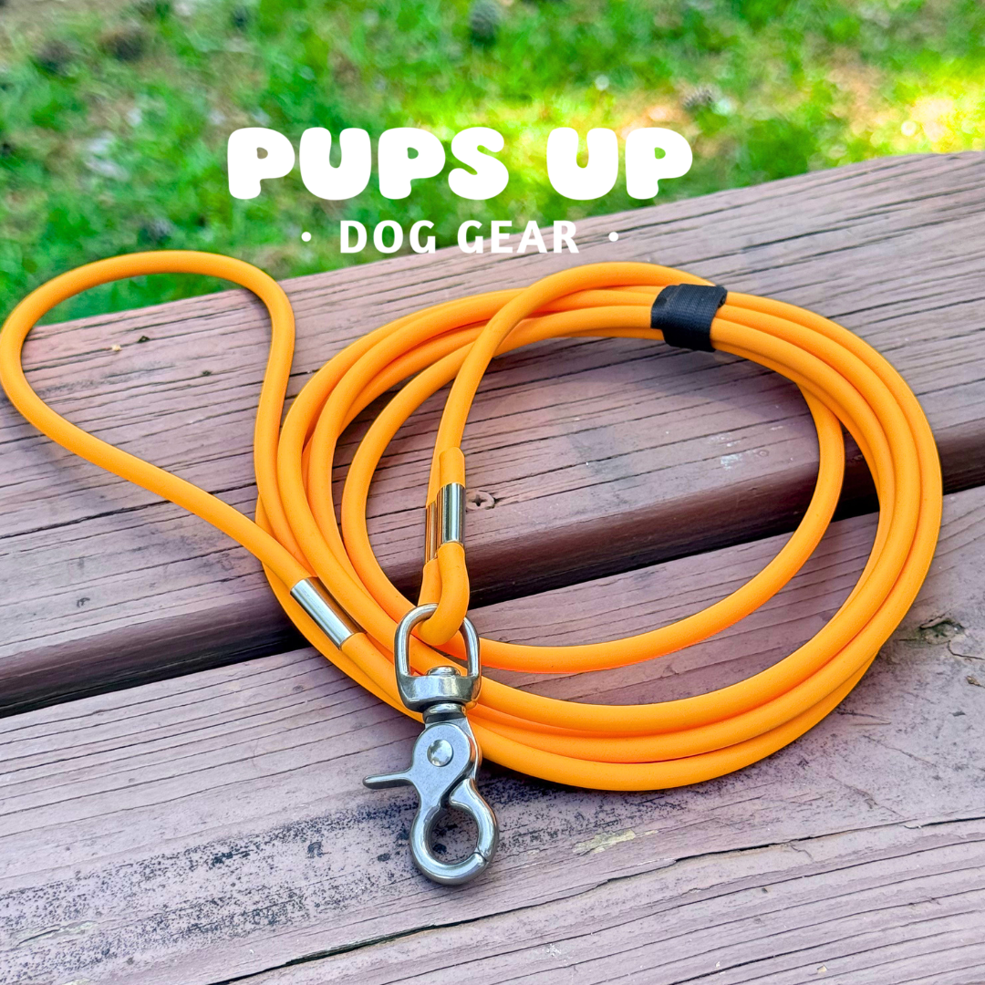 PREMADE 10FT Rope Leash
