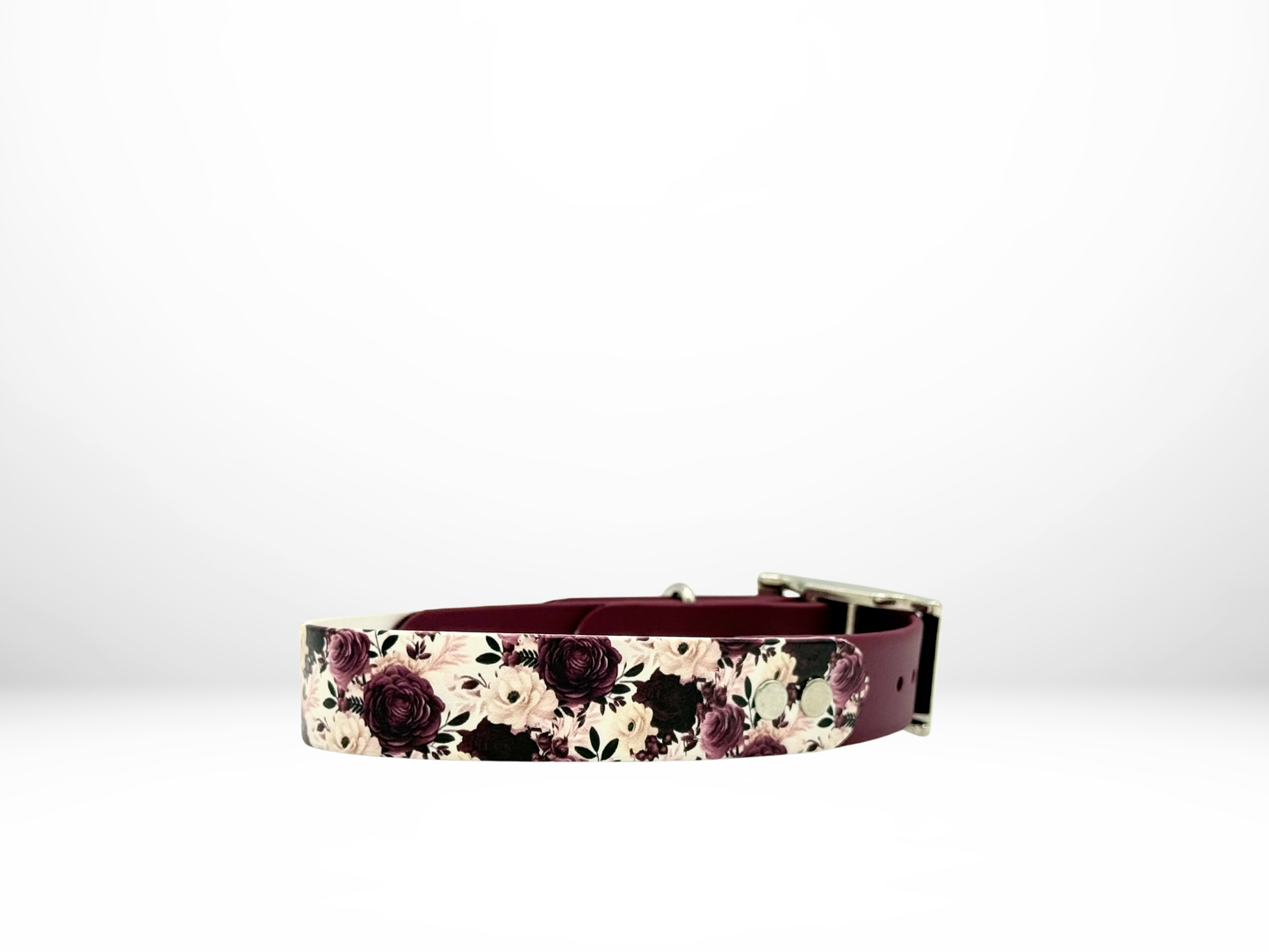 Medium (13-16 Inches) Burgundy Floral UV Print with Burgundy Accent Dog Collar