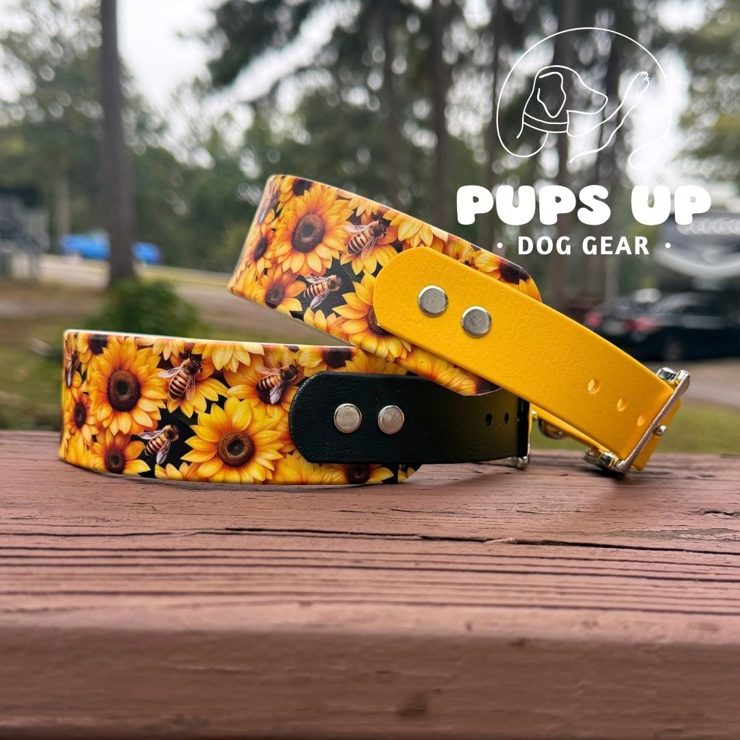 1.5" Tapered Sunflower & Bees Collar