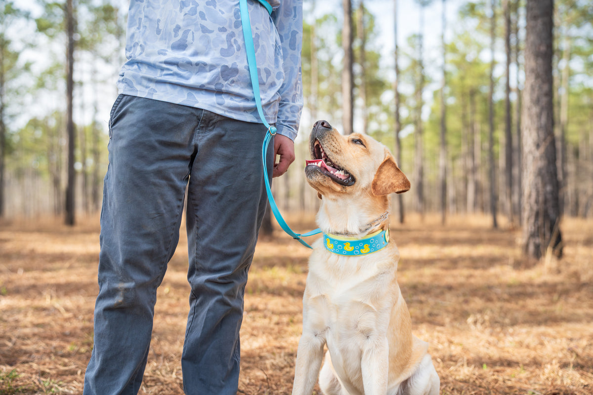 1” Multi Use Leash