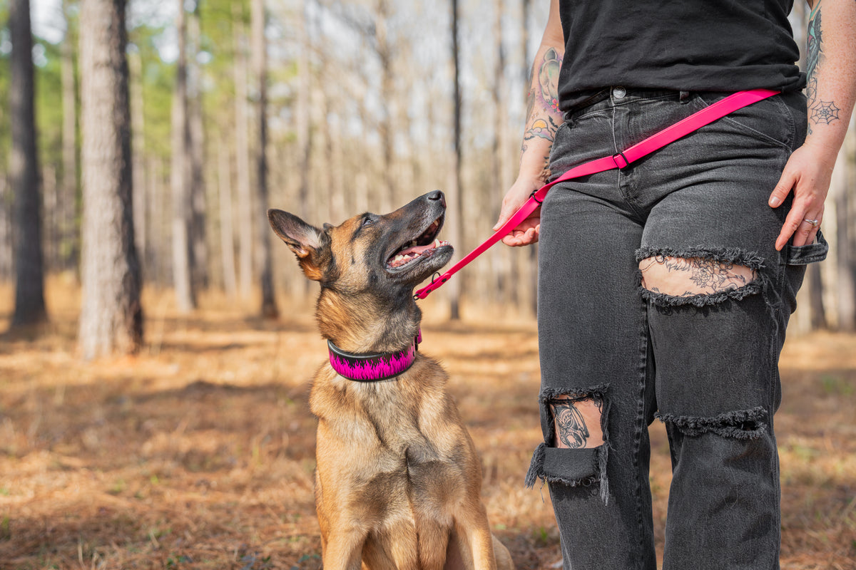 1” Multi Use Leash