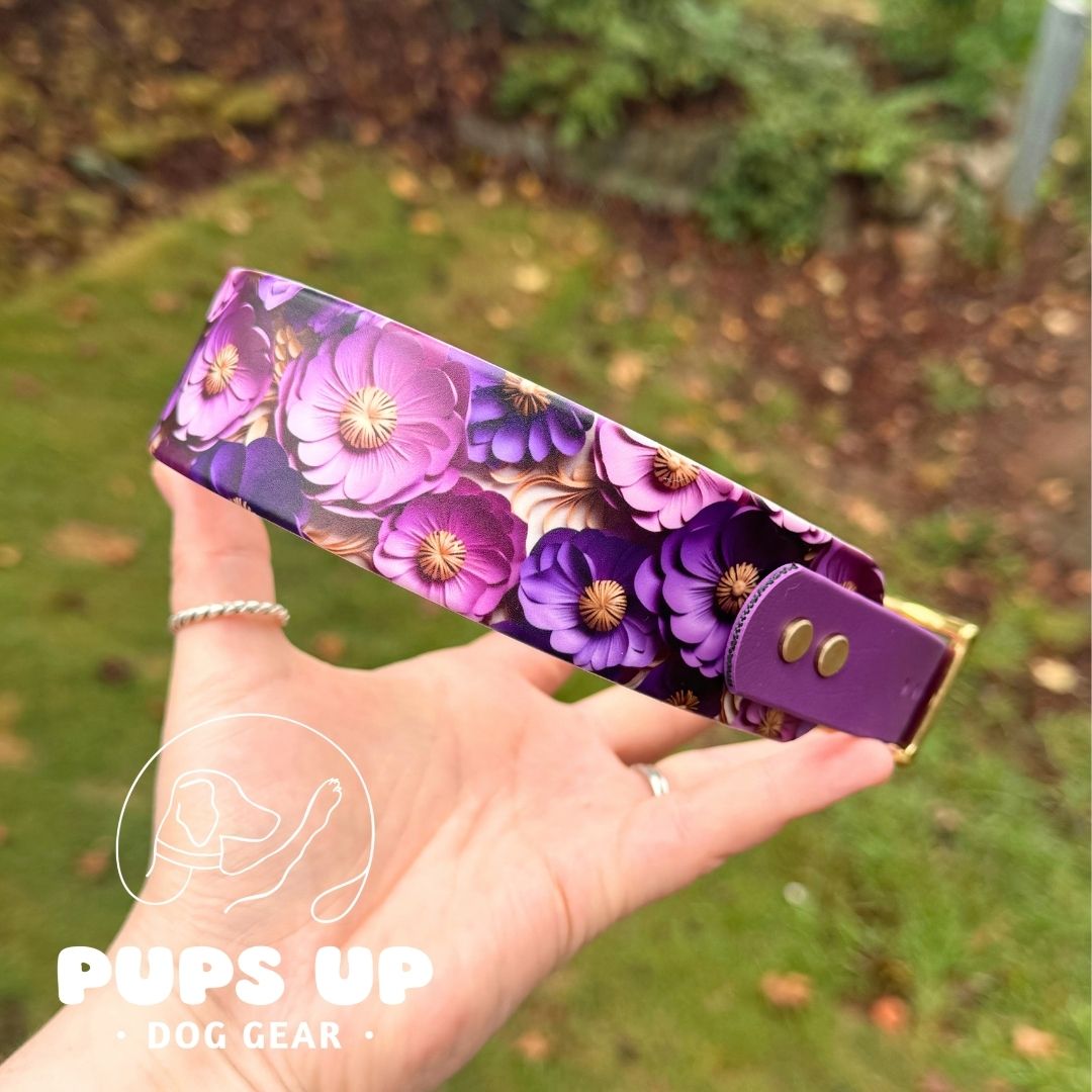 1.5" Tapered Violet Poppies Collar