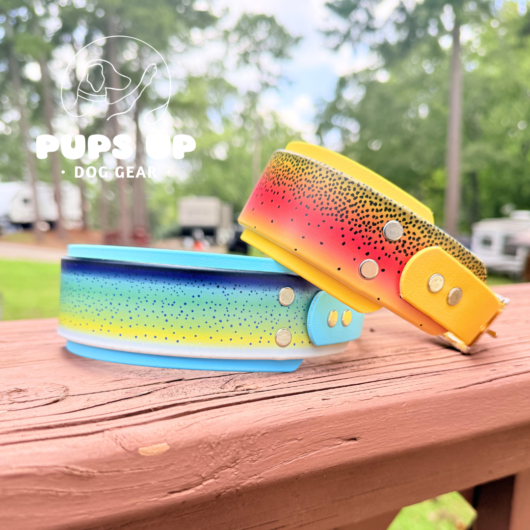 PREMADE 2" Cutthroat Trout Collar
