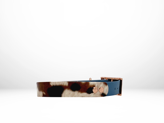 Medium (13-16 Inches) Tricolored Cow UV Print with Polar Blue Accent and Rose Gold Hardware Dog Collar