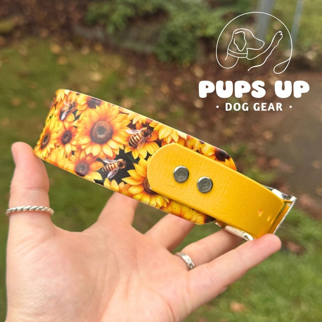 1.5" Tapered Sunflower & Bees Collar