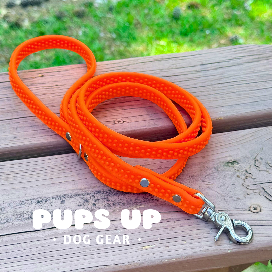 PREMADE 5FT Leash