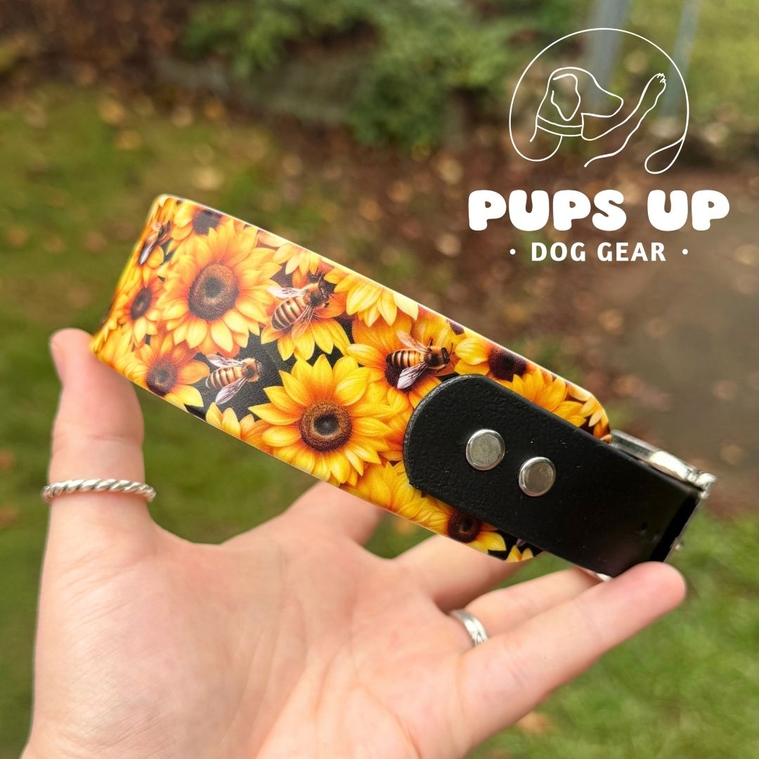 1.5" Tapered Sunflower & Bees Collar