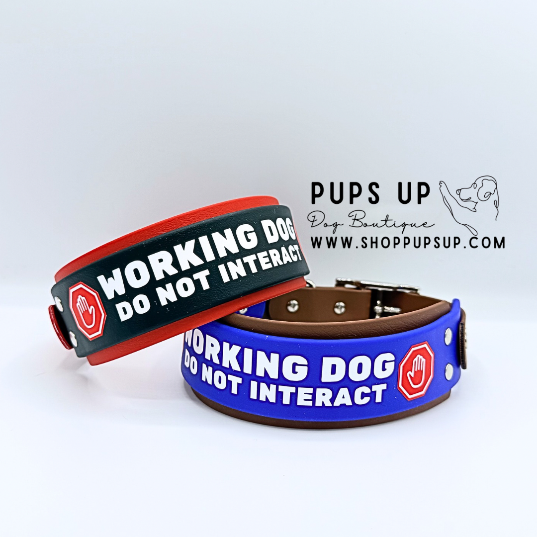 2” Working Dog Collar