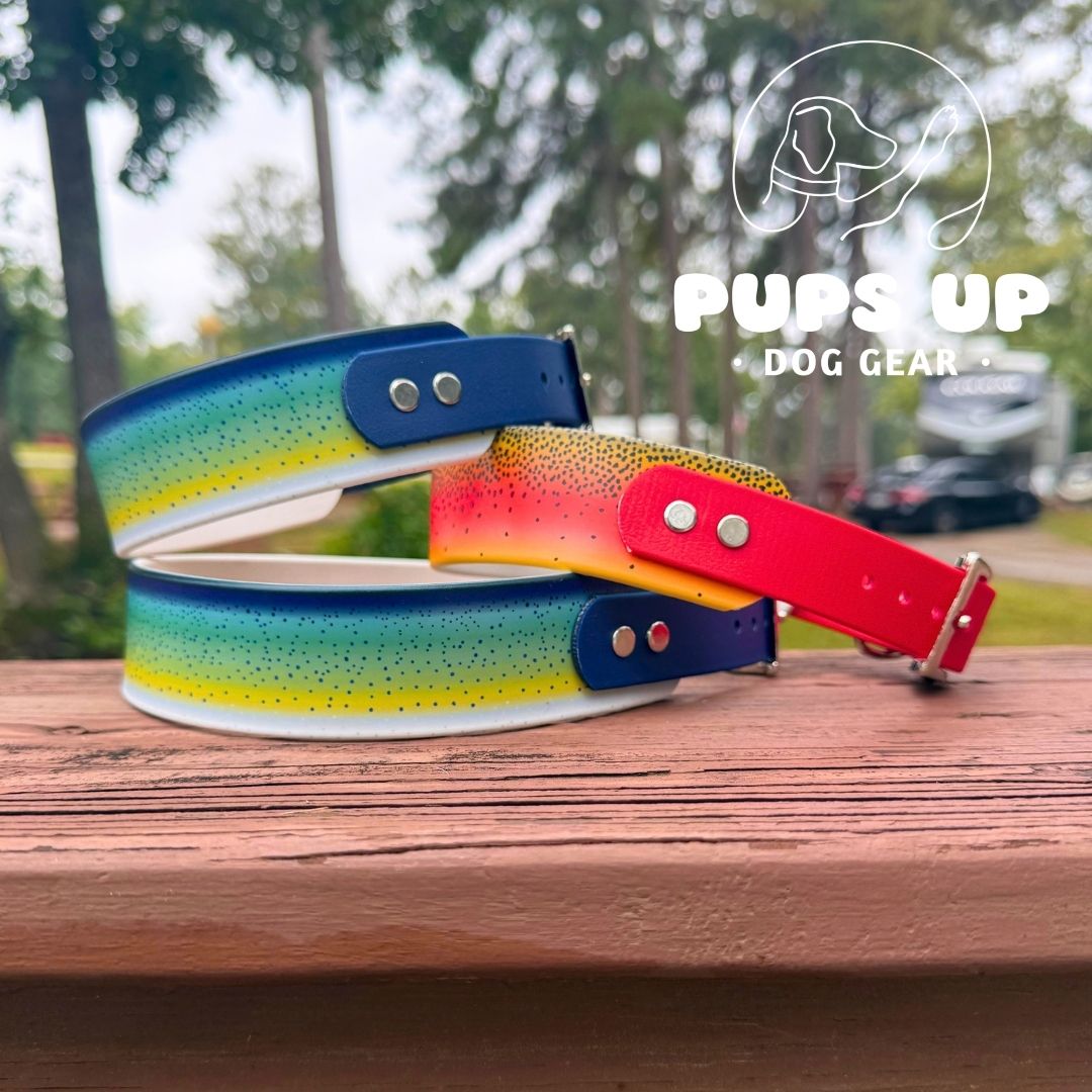 1.5" Tapered Mahi Mahi Collar