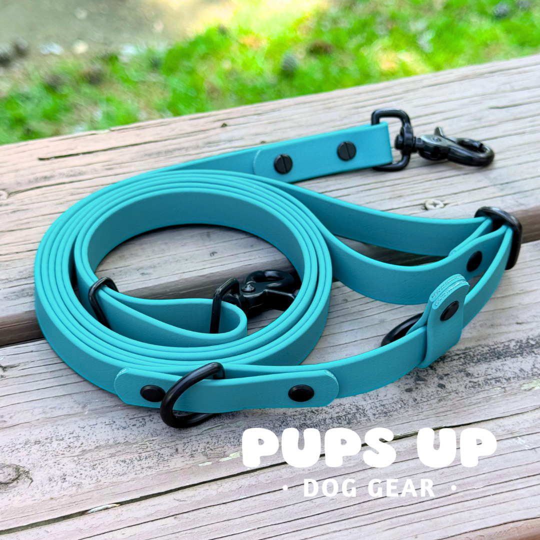 PREMADE Handsfree Leash