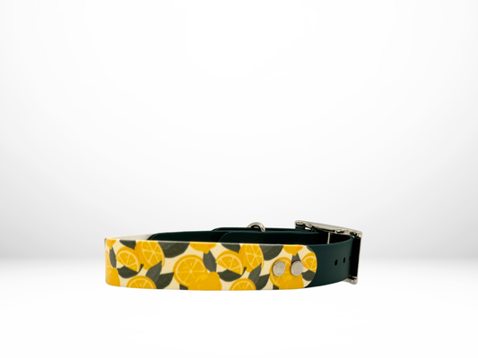 Medium (13-16 Inches) Lemon UV Print with Forest Accent Dog Collar