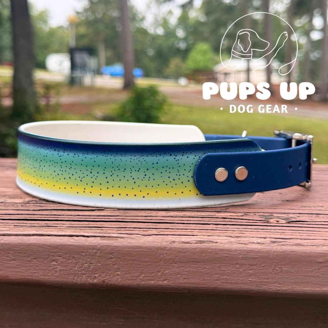 1.5" Tapered Mahi Mahi Collar