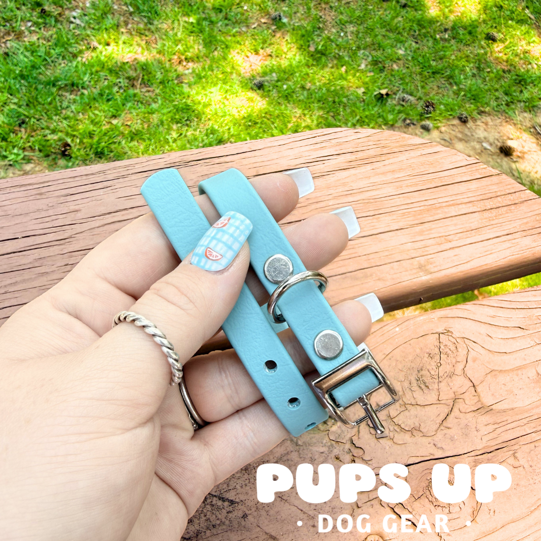 PREMADE 1/2" Puppy Collar