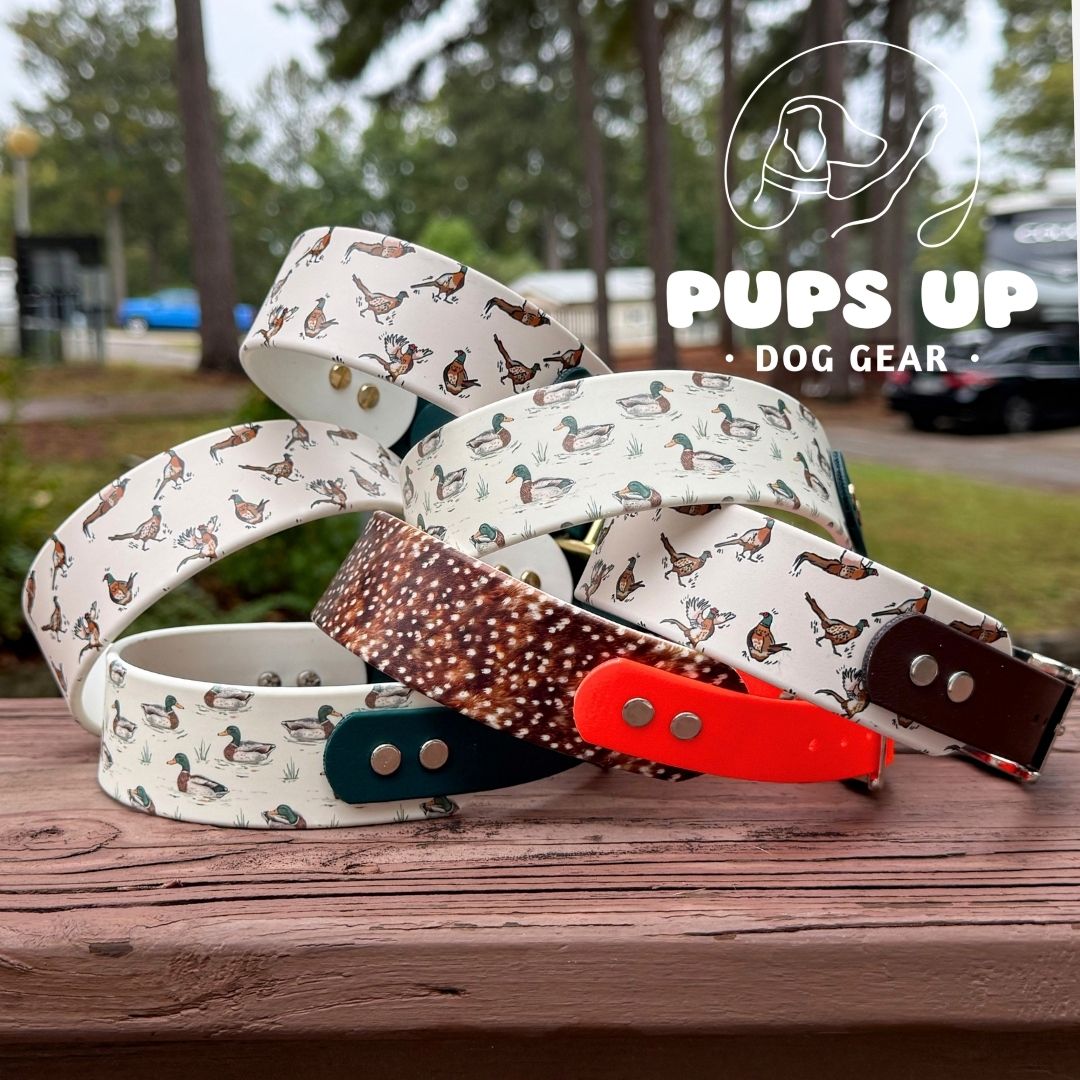 1.5" Tapered Pheasant Collar