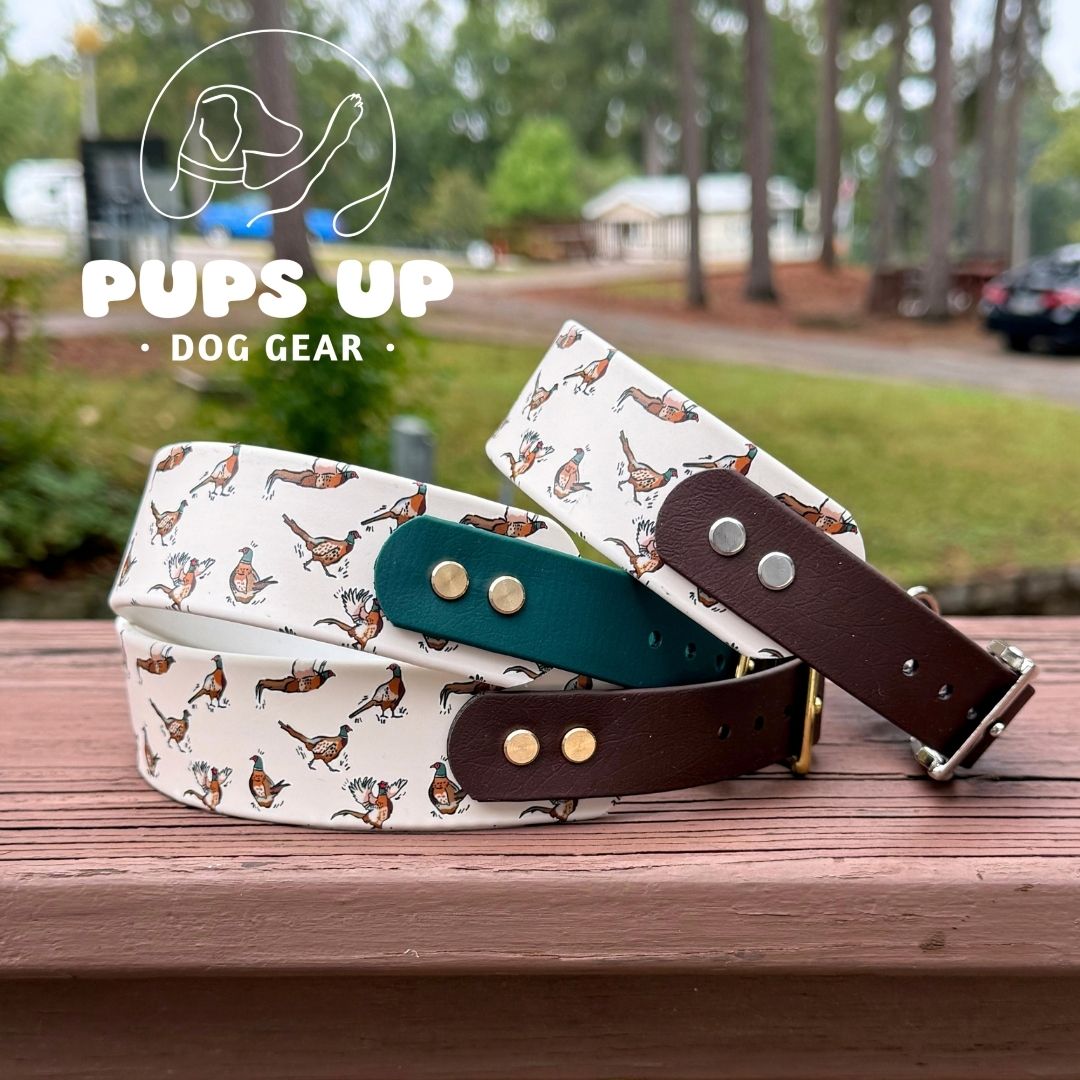 1.5" Tapered Pheasant Collar