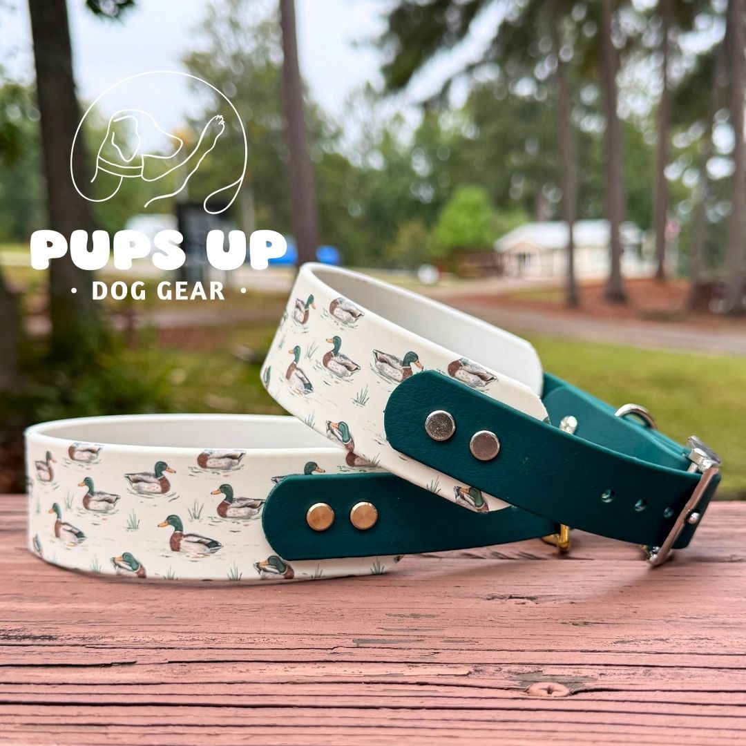 1.5" Tapered Mallard Collar