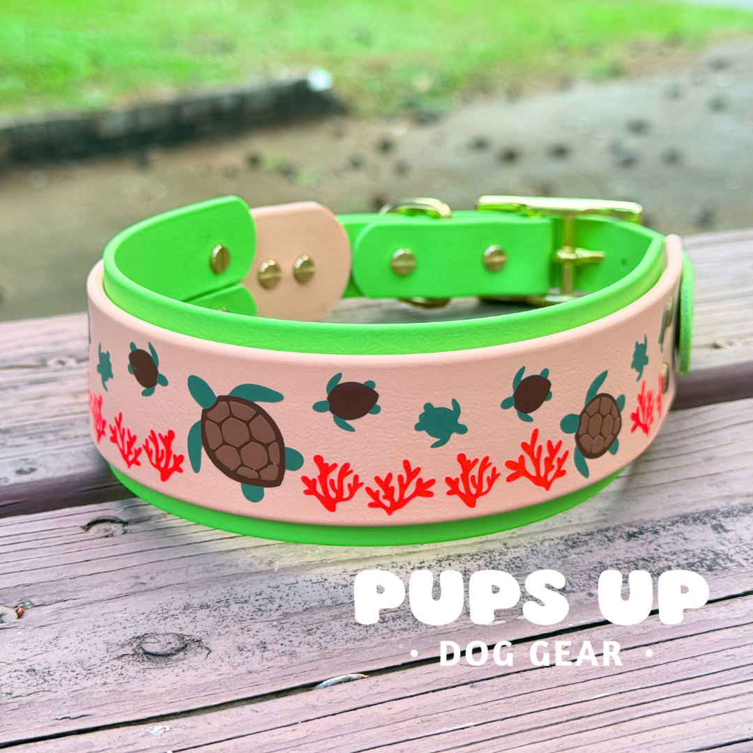 PREMADE 2” Sea Turtle Collar