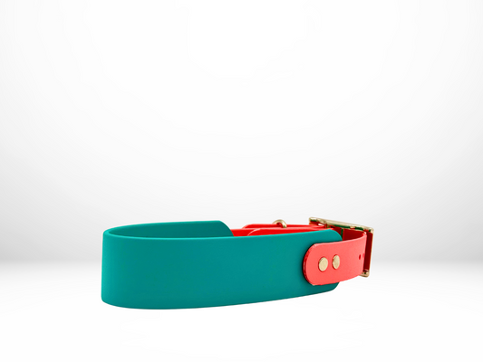 Large (16-19 Inches) Teal with Coral Accent Dog Collar