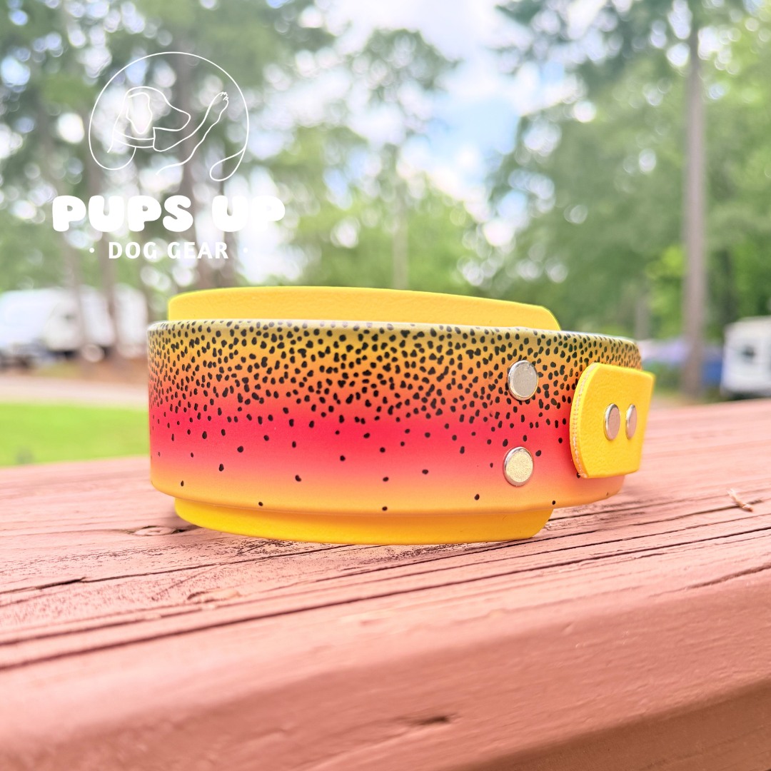 PREMADE 2" Cutthroat Trout Collar