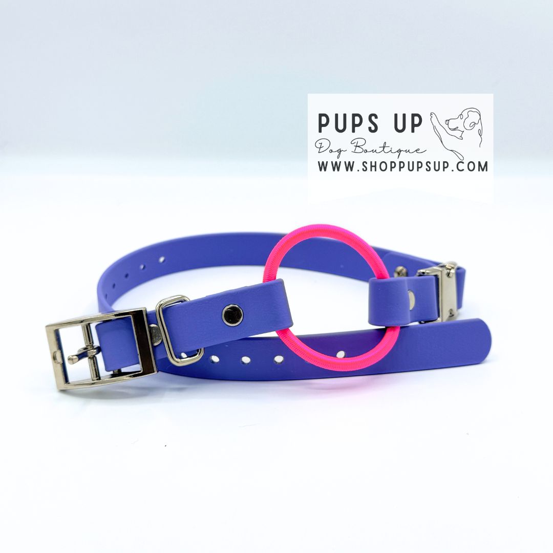 3/4" Bungee Quick Release E Collar Strap - Neon Pink Bungee