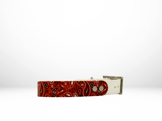 Medium (13-16 Inches) Red Paisley UV Print with White Accent Dog Collar