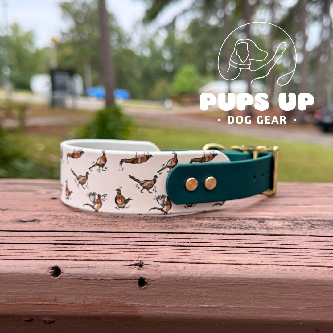 1.5" Tapered Pheasant Collar