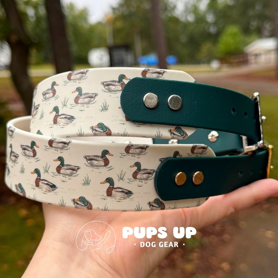1.5" Tapered Mallard Collar