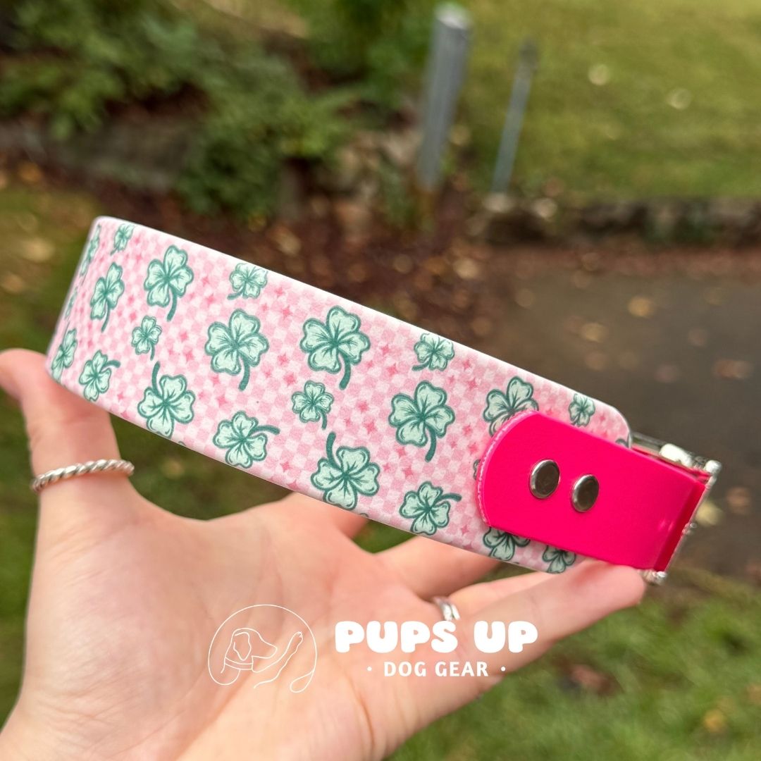 1.5" Tapered Checkered Clover Collar