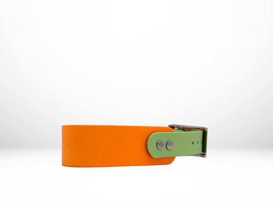 Medium (13-16 Inches) Mango with Pastel Green Accent Dog Collar