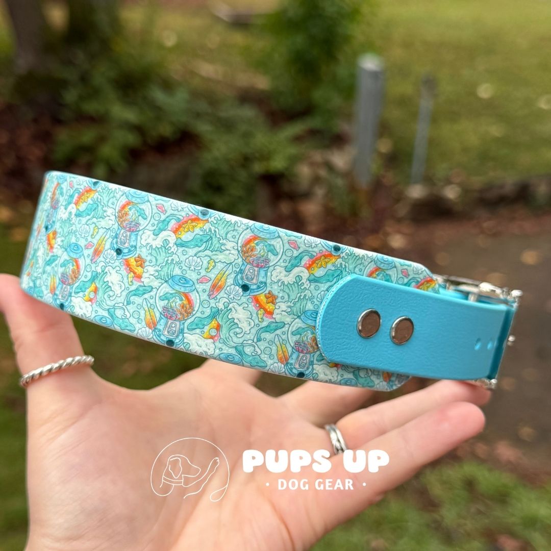 1.5" Tapered Gummy Sharks Collar