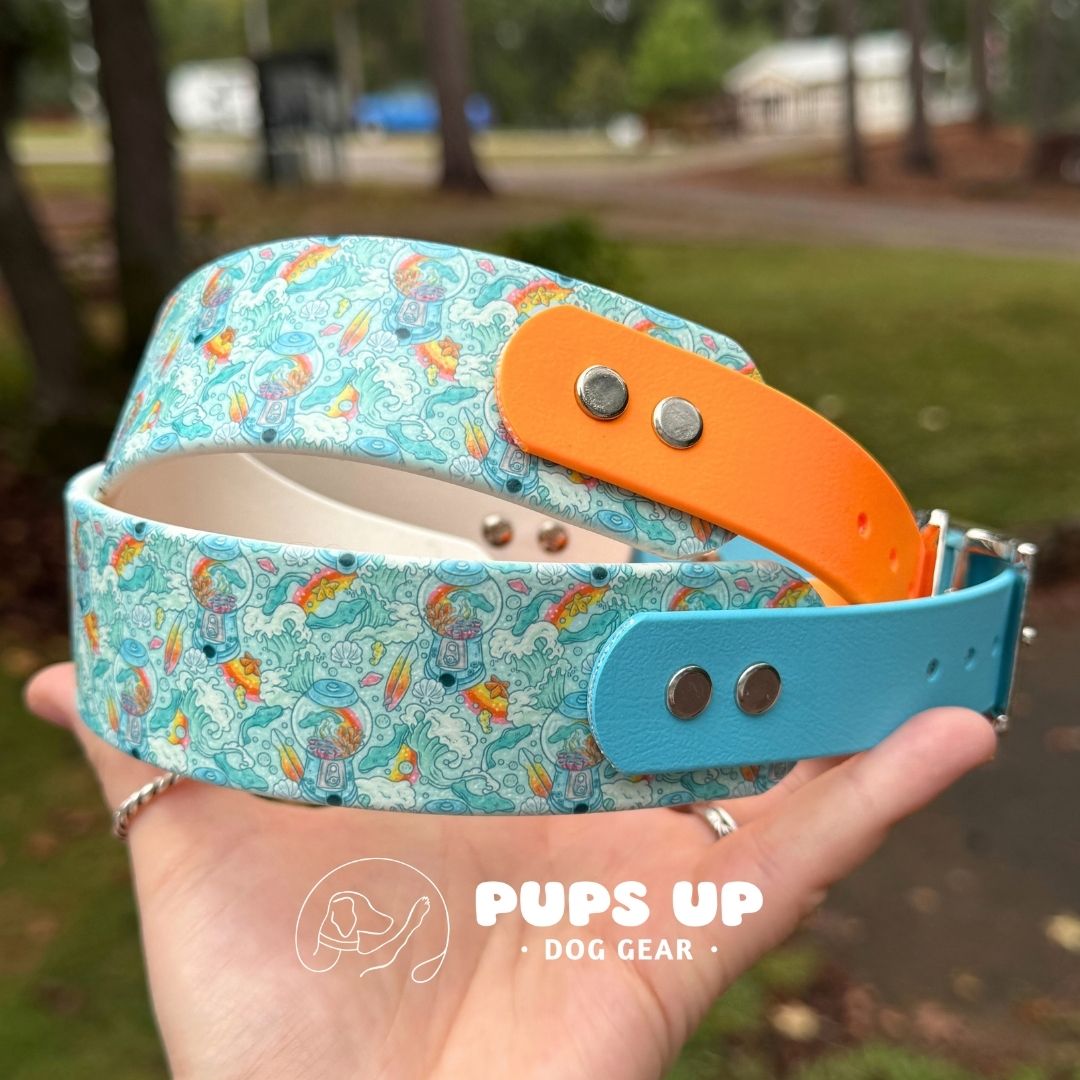 1.5" Tapered Gummy Sharks Collar