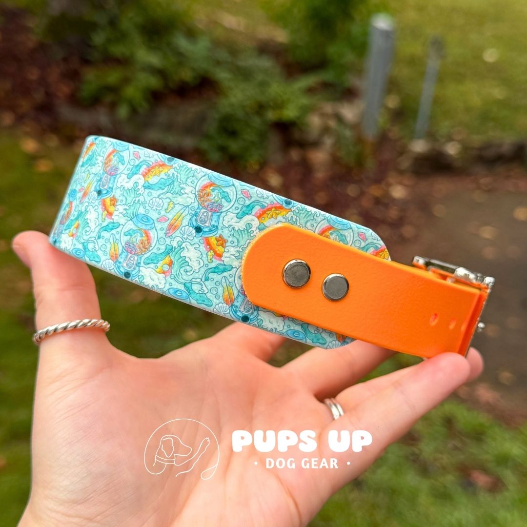 1.5" Tapered Gummy Sharks Collar