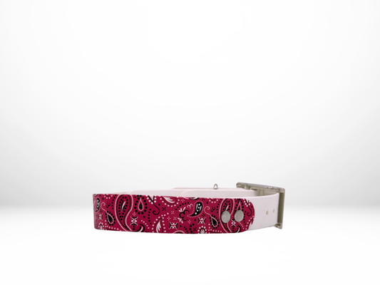 Medium (13-16 Inches) Pink Paisley UV Print with White Accent Dog Collar