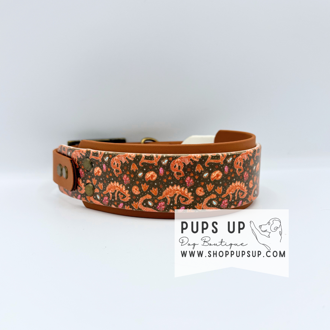 PREMADE 2” Dino Fossils Collar