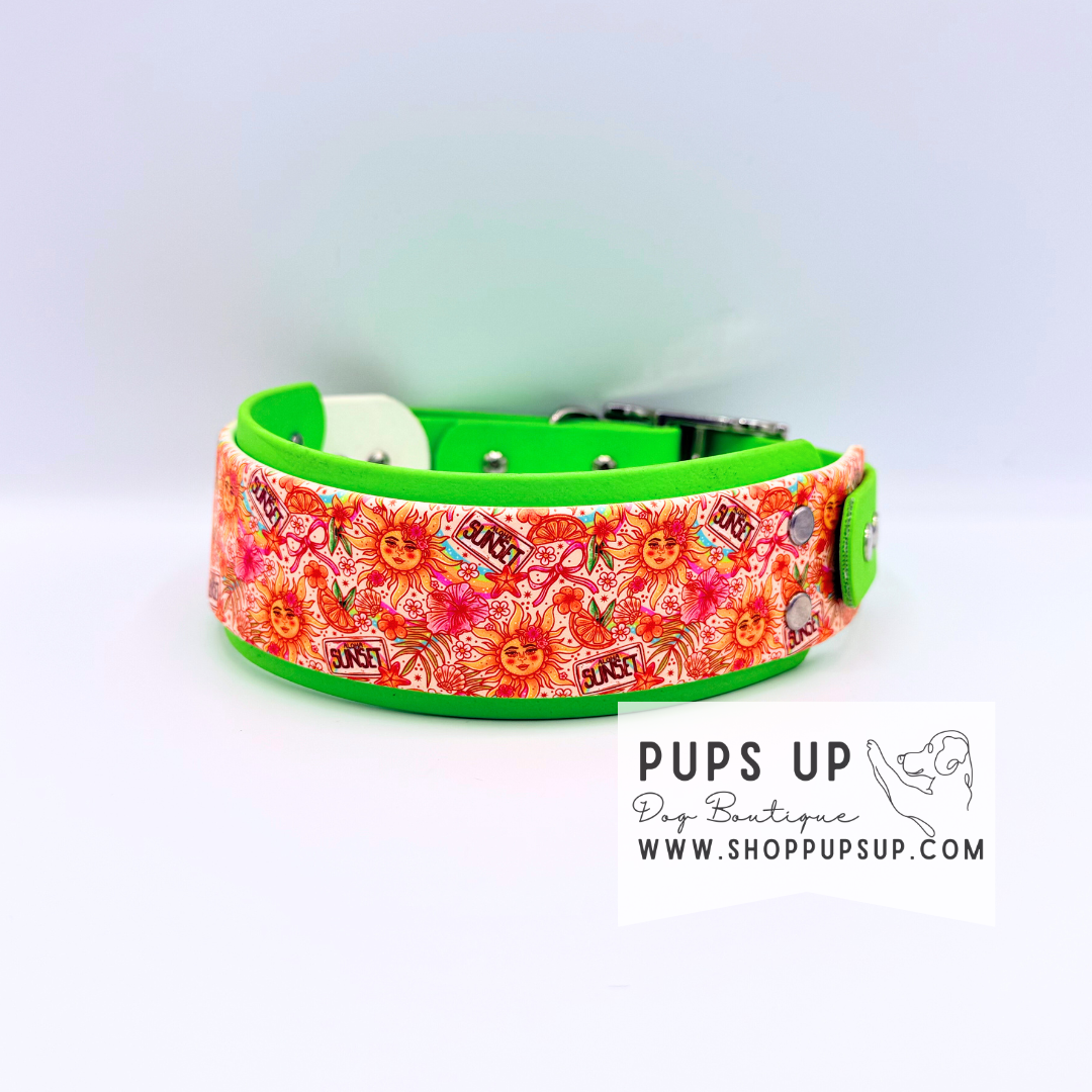 PREMADE 2” Aloha Sun Collar