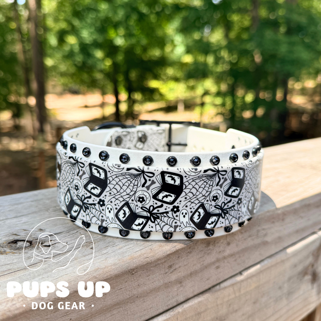 PREMADE 2" Book of Webs Crystal Border Collar