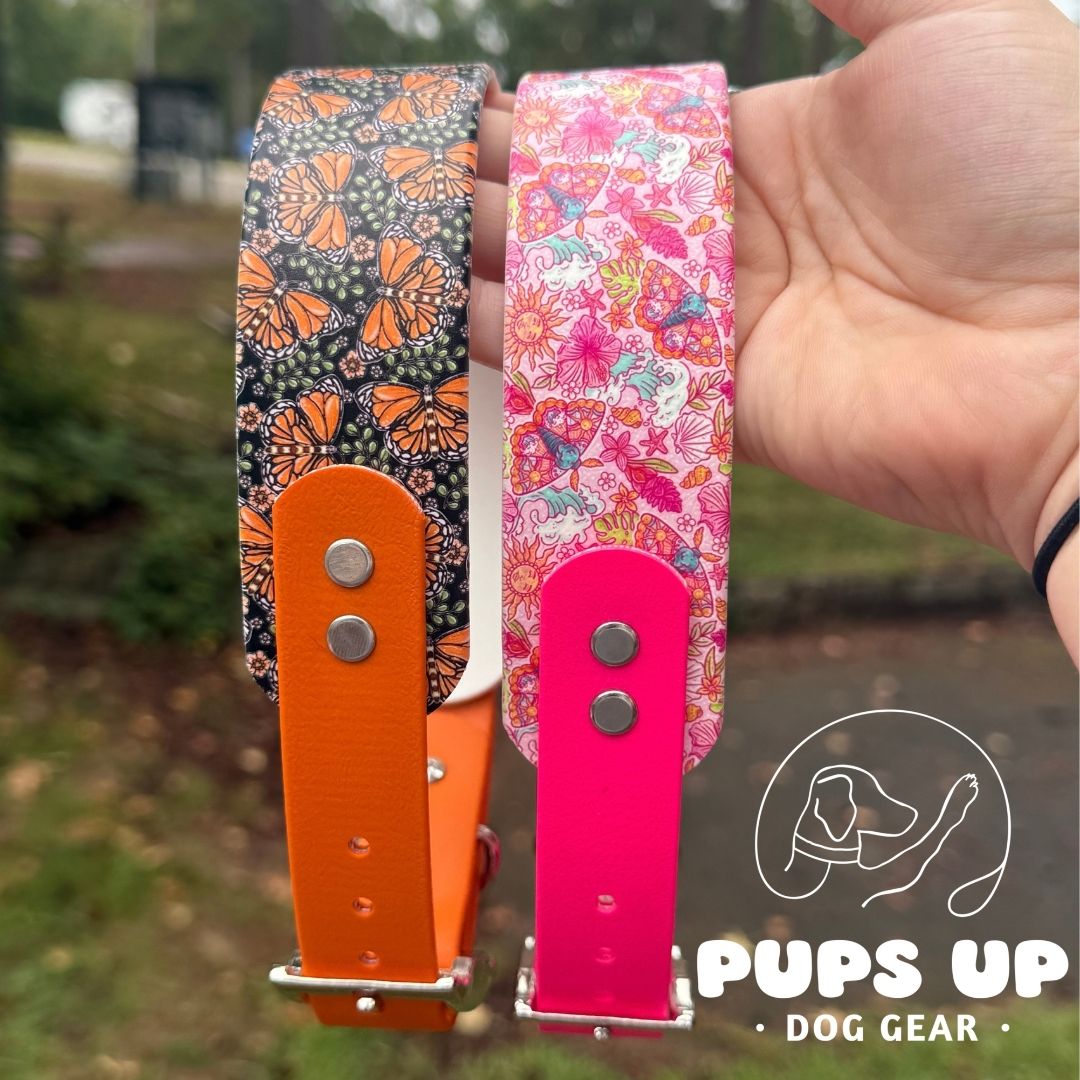 1.5" Tapered Monarch Collar