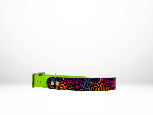 Large (16-19 Inches) Colorful Cheetah UV Print with Lime Accent Dog Collar