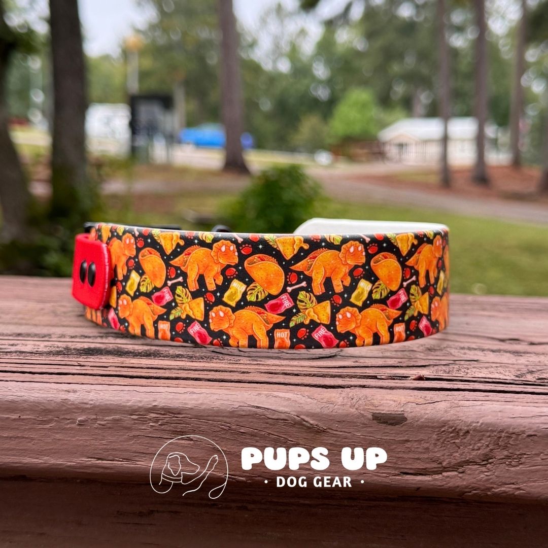 1.5" Tapered Taco Dinosaur Collar