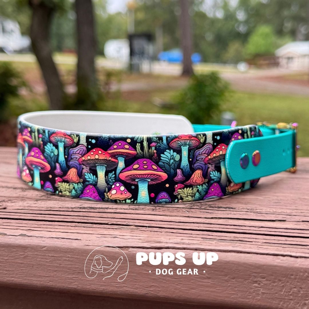 1.5" Tapered Mushroom Forest Neon Collar
