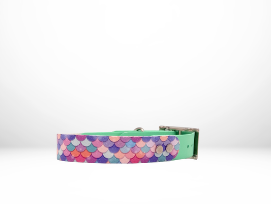 Medium (13-16 Inches) Pastel Mermaid UV Print with Mint Accent Dog Collar