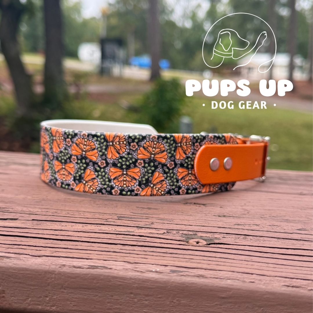 1.5" Tapered Monarch Collar