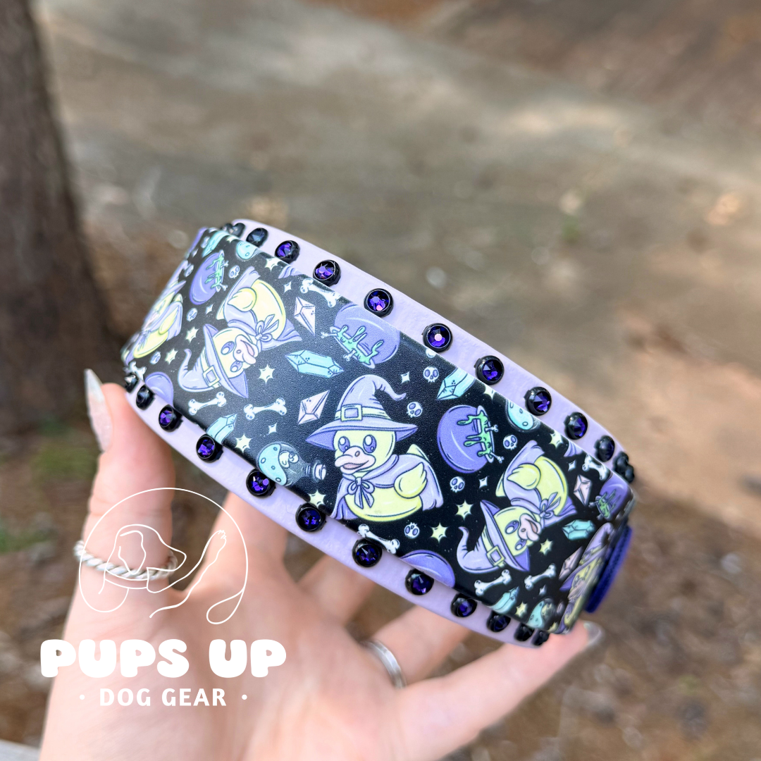 PREMADE 2" Witchy Ducks Crystal Border Collar