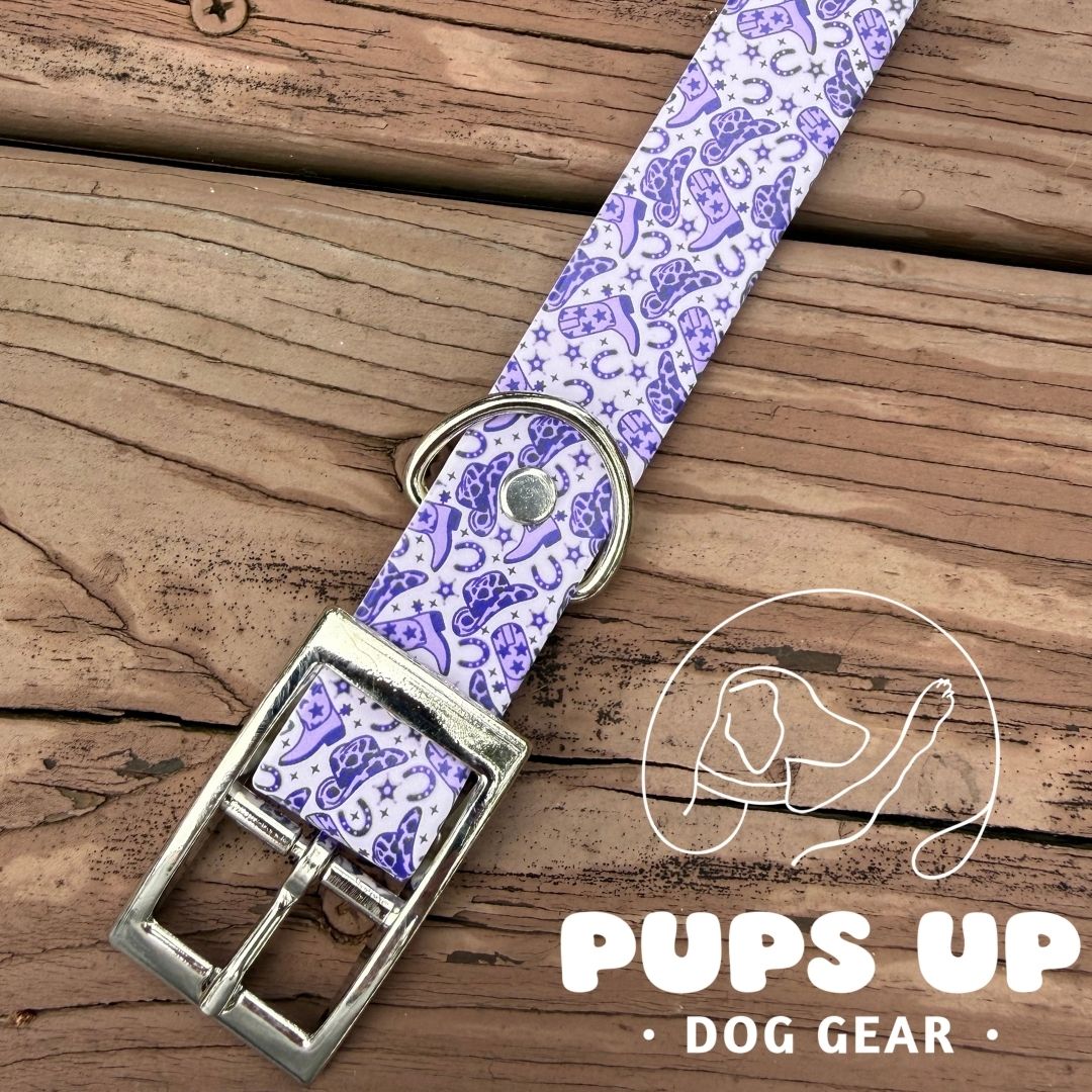 1" Purple Cowgirl Collar