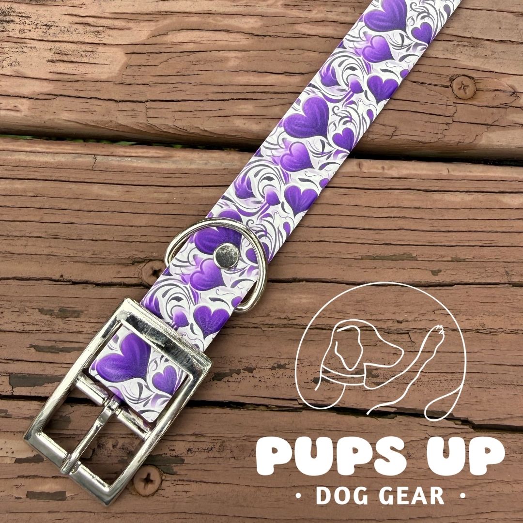1" Artistic Hearts Collar
