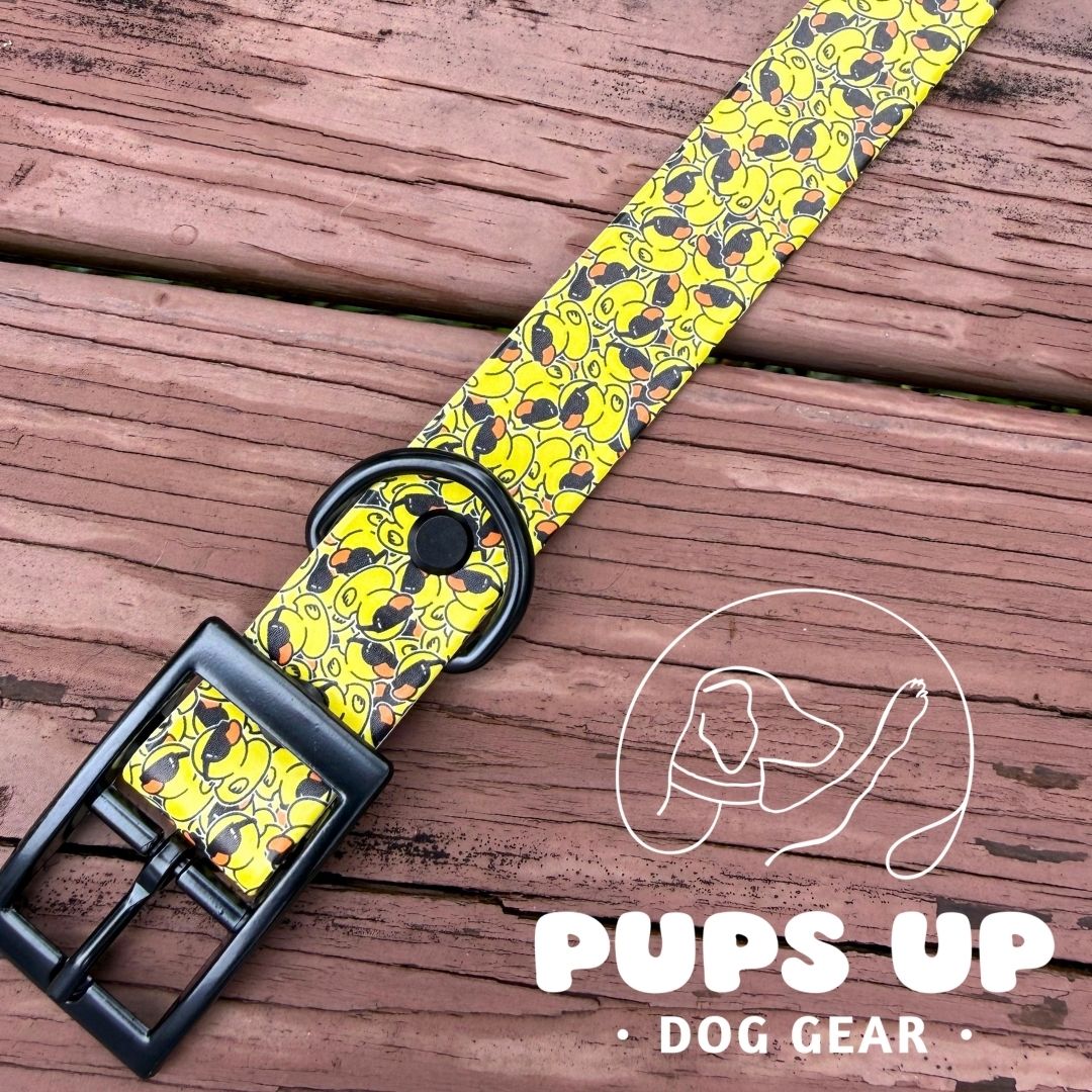 1" Cool Ducks Collar
