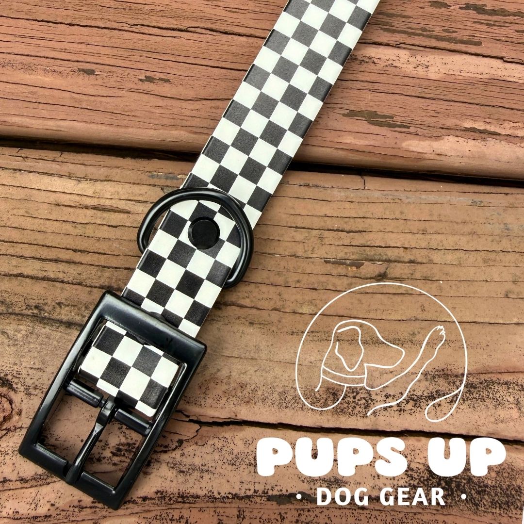 1" Checkerboard Collar