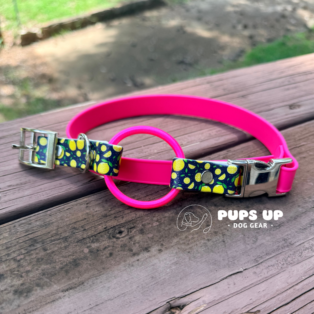 PREMADE Lemons UV Print E Collar Replacement Strap