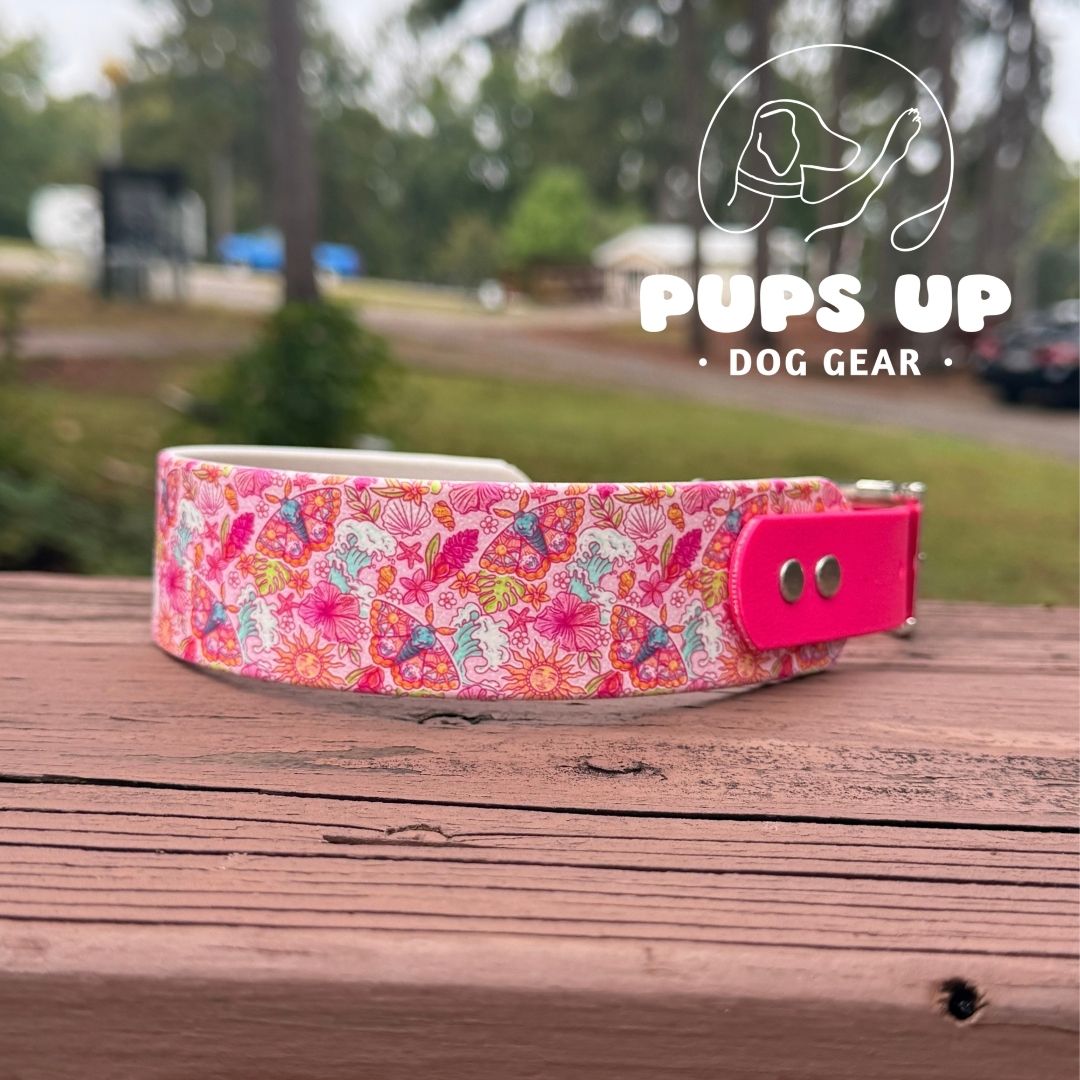 1.5" Tapered Summer Moths Collar