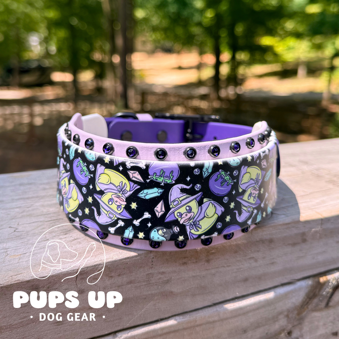 PREMADE 2" Witchy Ducks Crystal Border Collar